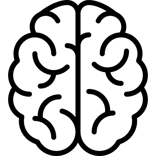 Brain
