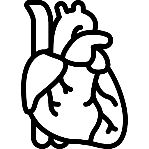 Heart